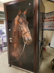 Сейф дверь с фотопечатью