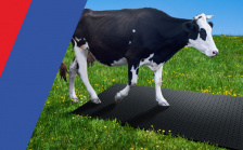 Маты резиновые для КРС