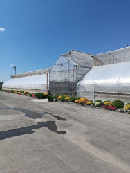 Фермерская теплица 480кв.м