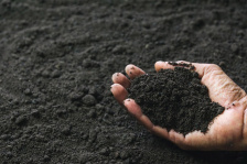 Трехкомпонентный почвогрунт/ торфо-песчаная смесь/ торфо-земляная смесь