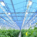 Тепличный Комплекс Белогорья