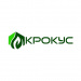 Крокус