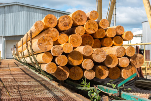 Деревянные опоры ЛЭП пропитанные от производителя