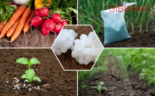 Закупаем сельхоз химию удобрения