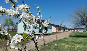 Проживание в 2-х и 3-х местных номерах на базе Заманиха