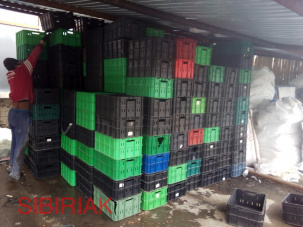 Ящики вино-водочные, молочные, мясные