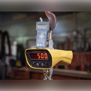 Крановые весы с индикацией на пульте