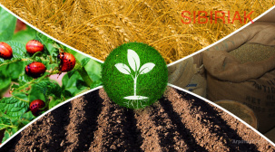 Купим остатки, неликвиды, просроченные удобрения.