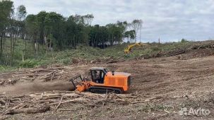 Расчистка территорий от деревьев и пней от 1 Га