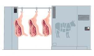 Дезинфекция холодильных камер озоном