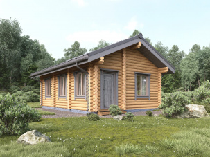 Дом из бревна "Генемей"