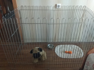 Вольеры для домашних животных