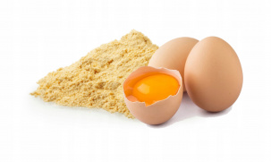 Яичный порошок меланж