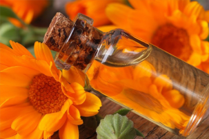 Экстракты для косметических, пищевых и фармацевтических производств