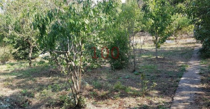 Дачный участок ст Новозбурьевка Симферополь