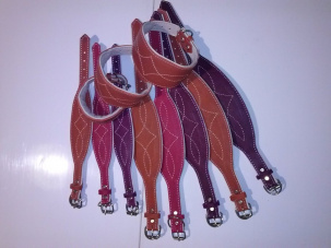 Petryaj-ошейники, поводки, шлейки оптом