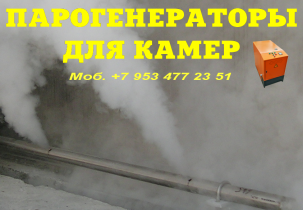 Парогенератор для пропарочной камеры