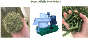 Гранулятор для производства пеллет древесных из производителя 1,8-2т/ч 