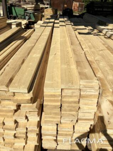 Сосна, ель и сибирская лиственница