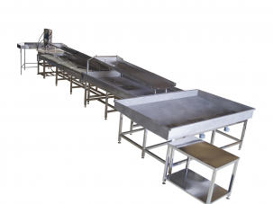 Линии разделки дальневосточных лососевых рыб