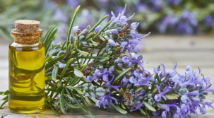 Розмарин, экстракт для продаж на маркетплейс от производителя