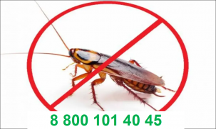 Уничтожение тараканов