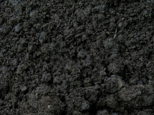 Торф низинный (Тамбовское торфяное месторождение)