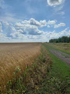 Земельный участок 90 Га