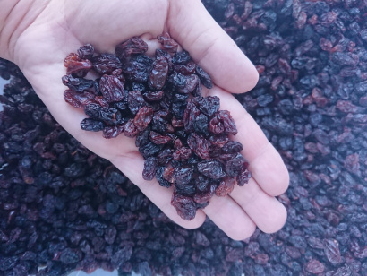 Изюм Аликанта, Малояр, Бедона