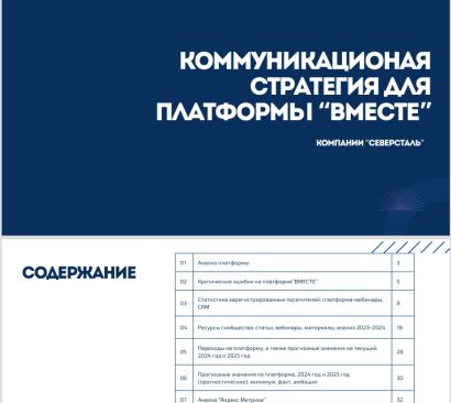 Создание маркетинговой стратегии для промышленного бизнеса, агробизнеса