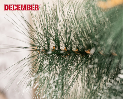 Искусственные сосны, ели и ёлки от производителя