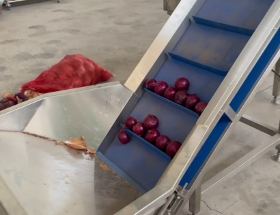 Линия для очистки лука Vega Onion Line Avtomat Н1500