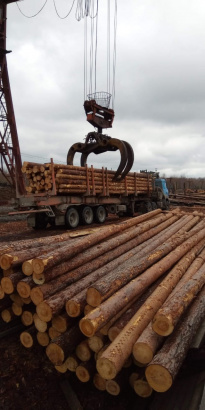 Деревянные столбы электрические, для линий связи и освещения