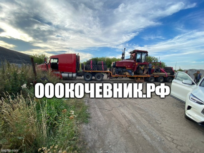 Вырубка, выкорчёвка, переработка в щепу деревьев и корней