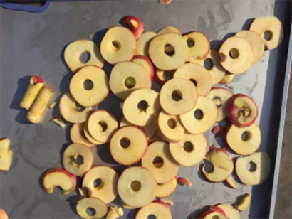 Машина для удаления сердцевины яблок, нарезка дольками/слайсами Vega Apl Cor 800 A