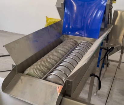 Линия для очистки лука Vega Onion Line Avtomat Н1500