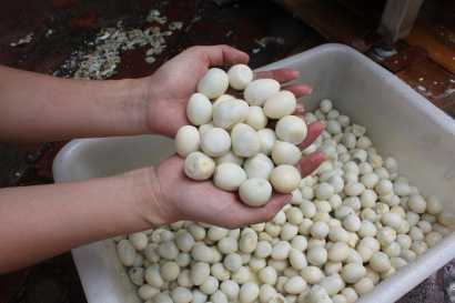 Машина для очистки перепелиных яиц Vega Qual Egg Peeler F1000