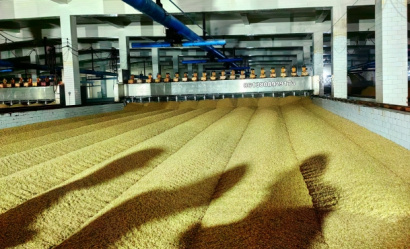 Оборудование для производства солода солодовня