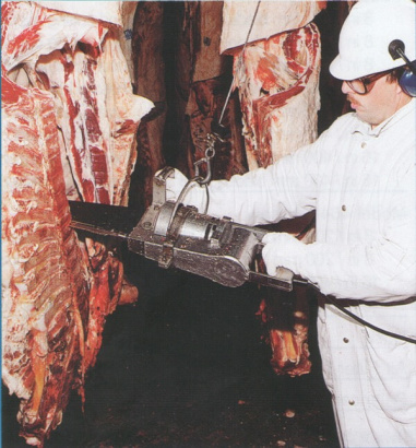 Разделочная шаговая пила Wellsaw 444