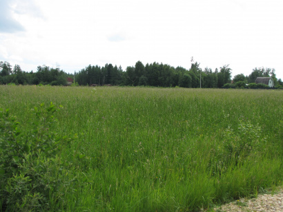 Земельный участок 45 Га (готовое фермерское хоз-во) Шаховского района