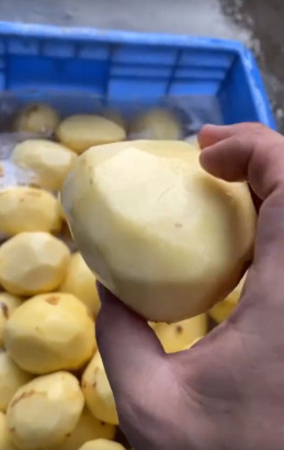Картофелечистка Vega KPel Potato H500