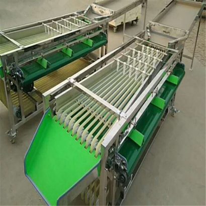 Машина для сортировки/калибровки овощей и фруктов Vega Sorting H2000