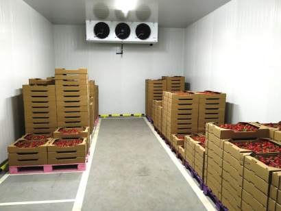 Холодильное оборудование для овощехранилища