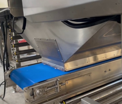 Линия для очистки лука Vega Onion Line Avtomat Н1500