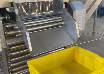 Линия для очистки лука Vega Onion Line Avtomat Н1500