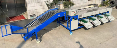 Машина для сортировки/калибровки овощей и фруктов Vega Sorting H3000