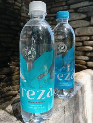 Вода «ТЕЗА» оптом — природная родниковая 0,5 л и 1,5 л (газ/негаз) | Краснодар