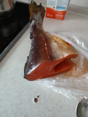 Деревянная экологически чистая коптильня