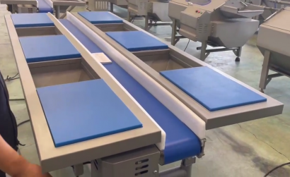 Инспекционный стол с конвейерной лентой для салатной линии Leaddenmar Inspection Table 6WP