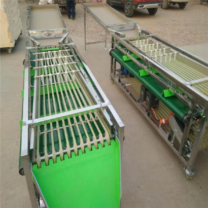 Машина для сортировки/калибровки овощей и фруктов Vega Sorting H2000